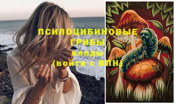 таблы Надым